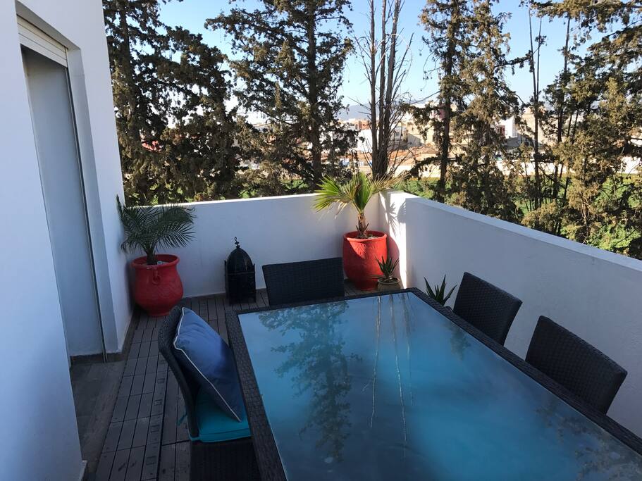 Terrasse de 30m2 avec bbq
