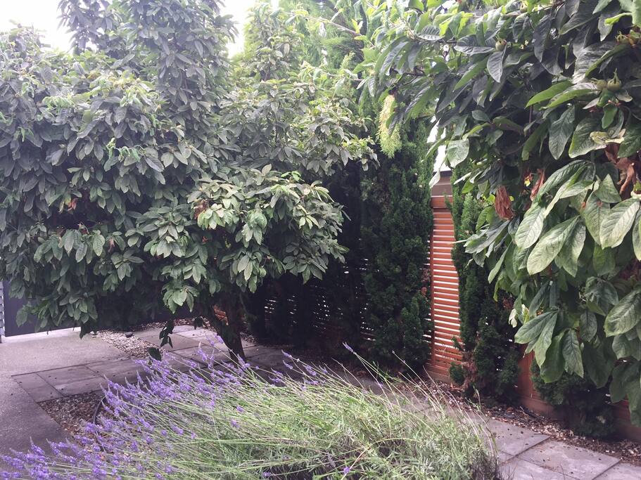 Garden Entrance