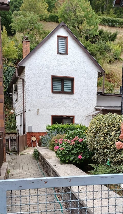 "Anna's Vacation Home" Old Town of Sonneberg