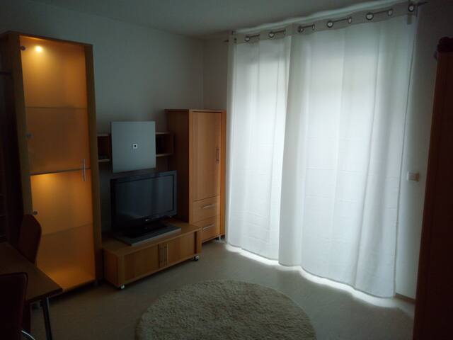 Nice 1-room apartment in historic old town