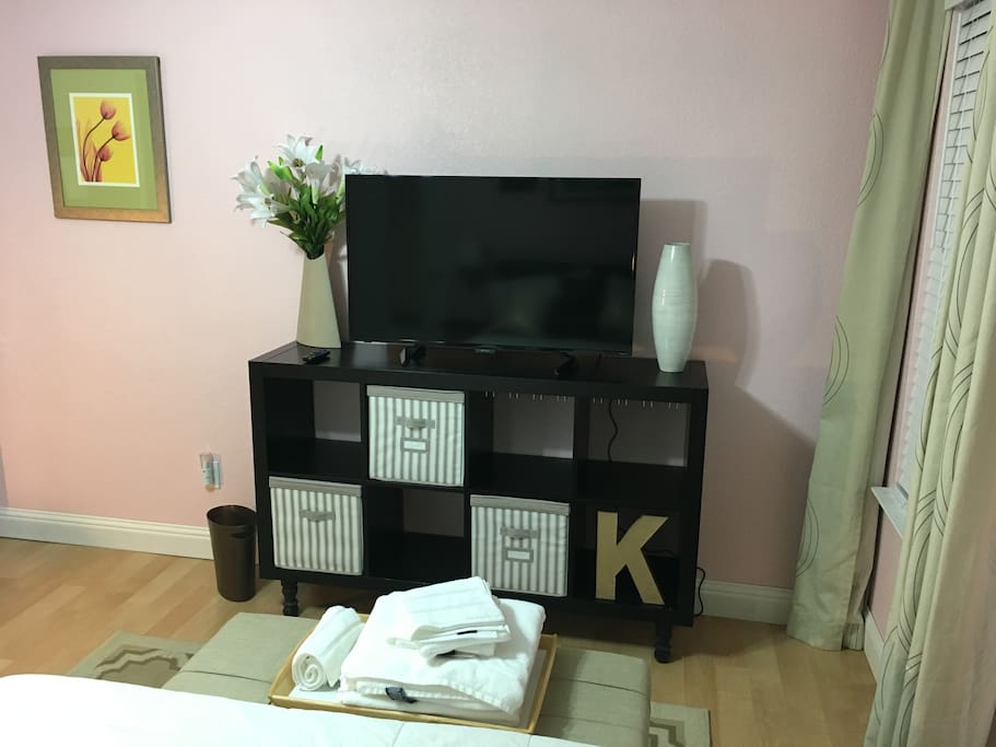 48" TV and storage space