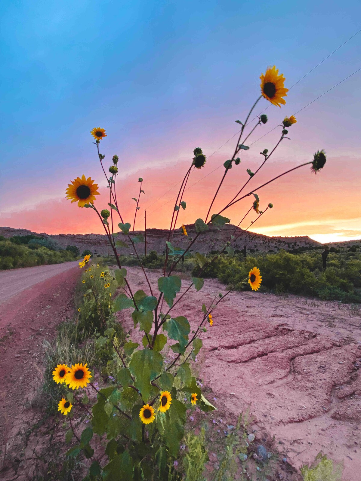 Casa Granada, Sunny casita along on the Rio Chama - Houses for
