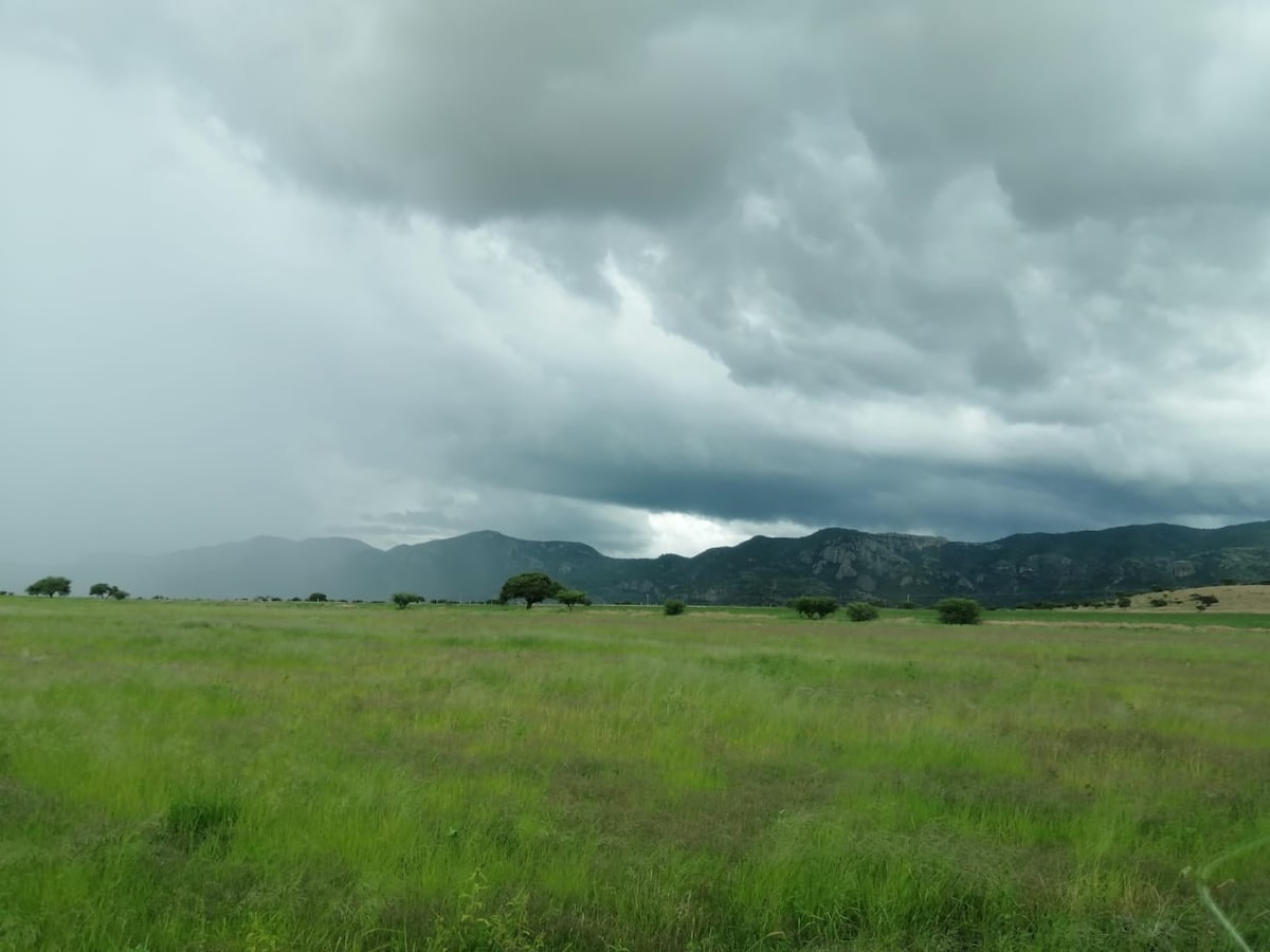 A vast field of green grass stretches under a cloudy sky, with dark clouds looming over distant mountains. Sparse trees are visible throughout the landscape, contributing to the serene and open atmosphere.