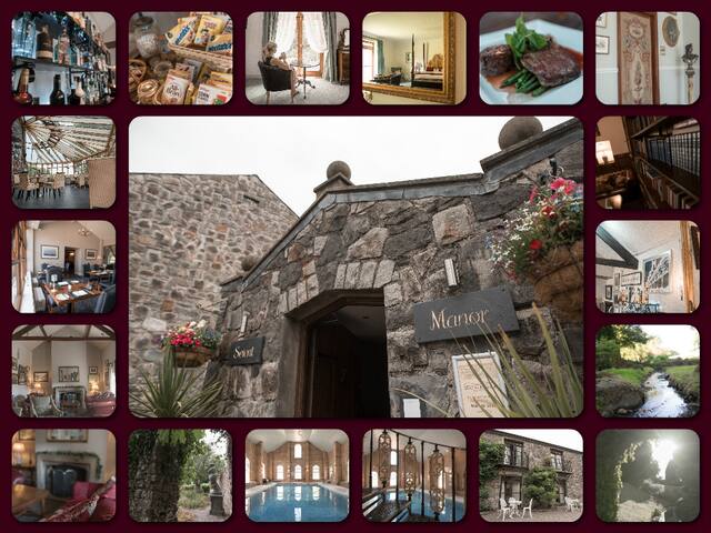 Seiont Manor Hotel