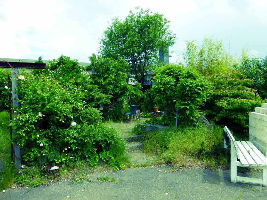summer chillout area