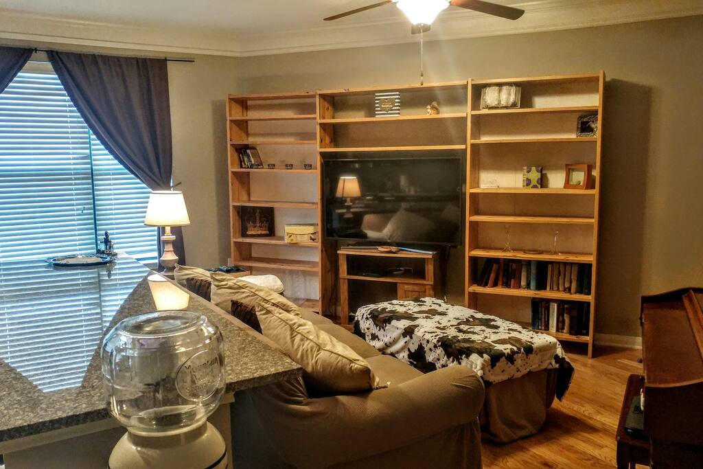 Cozy living room with Queen sleeper