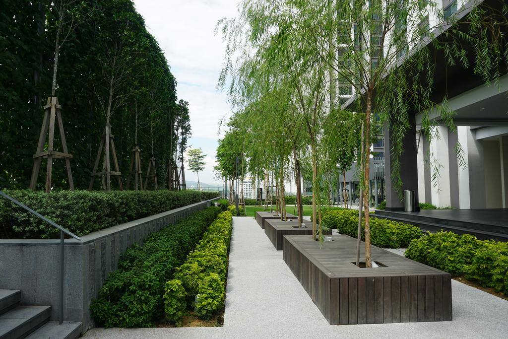 Decks and Landscape