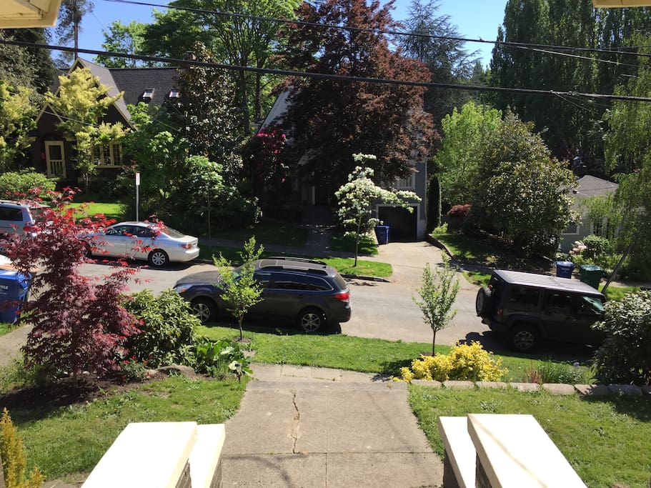 View from porch--beautiful, quiet neighborhood.