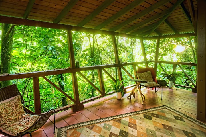 The living area in the Tree House, with a view into the valley with its little stream