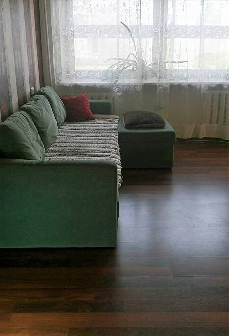 Living room. Couch can be opened to a huge bed.