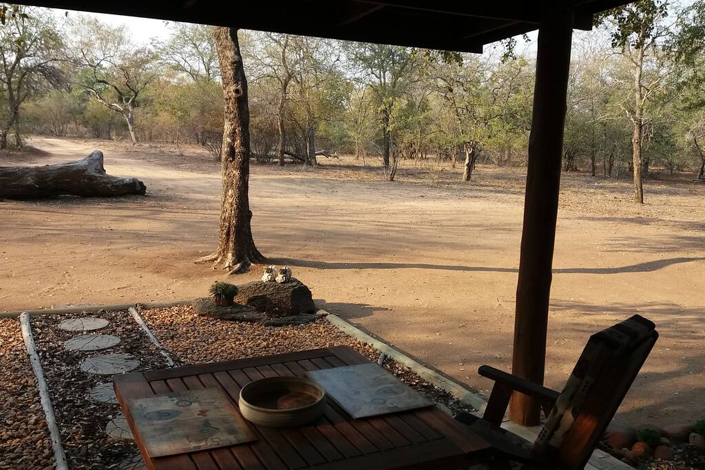 View of bush from varanda