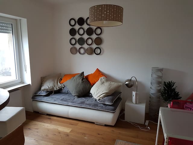 Zen Private Room in Comfy Apartment