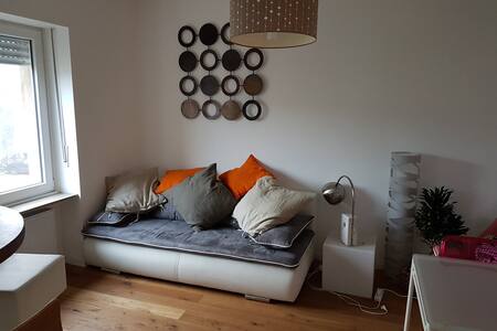 Zen Private Room in Comfy Apartment