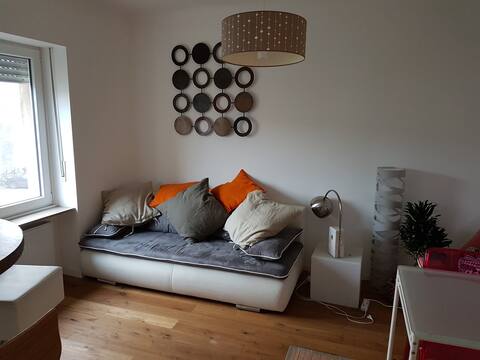 Zen Private Room in Comfy Apartment