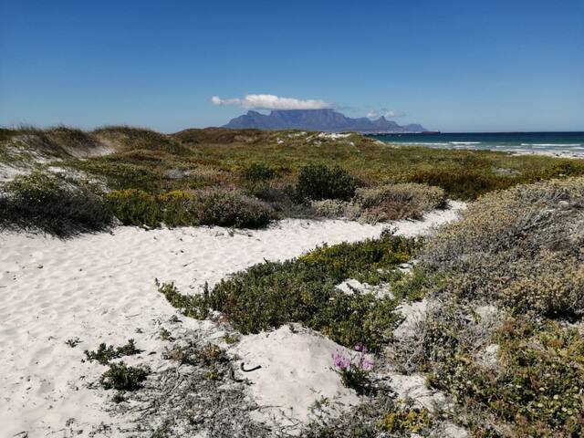 Big Bay Beach Home gallery image 3