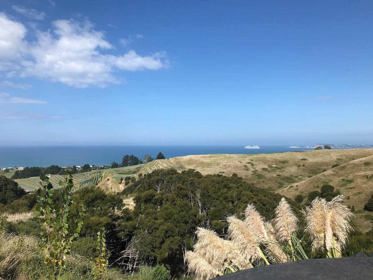 A panoramic view of the Hawke's Bay coastline is displayed, with rolling hills and lush vegetation in the foreground. The ocean sparkles in the distance, accompanied by scattered clouds against a bright blue sky.