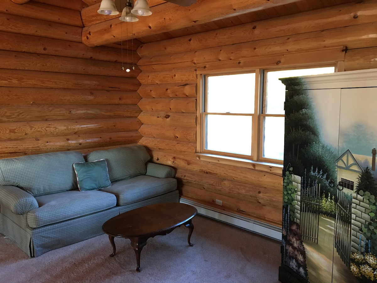 Upstairs Sofa (pull out)