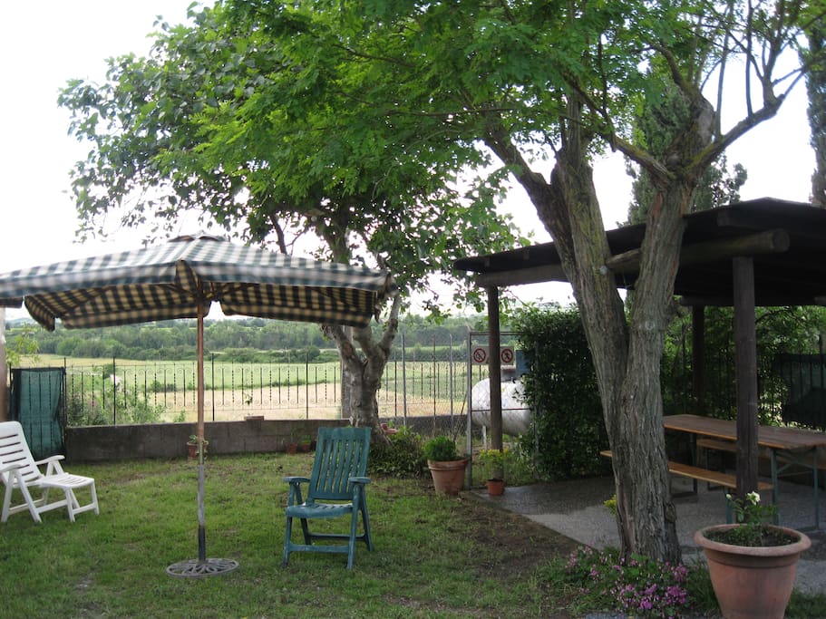 gazebo