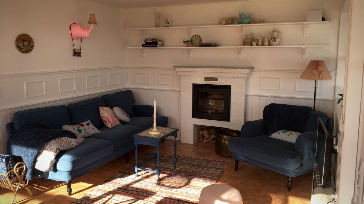 A light-filled living area is showcased with a blue sectional sofa and a matching armchair. A small coffee table sits on a woven rug in front of the seating. A modern fireplace is positioned against the white wall, accented by decorative shelves above.