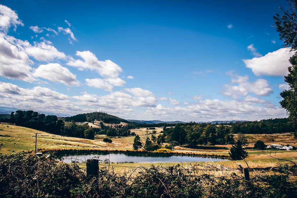 Farm View