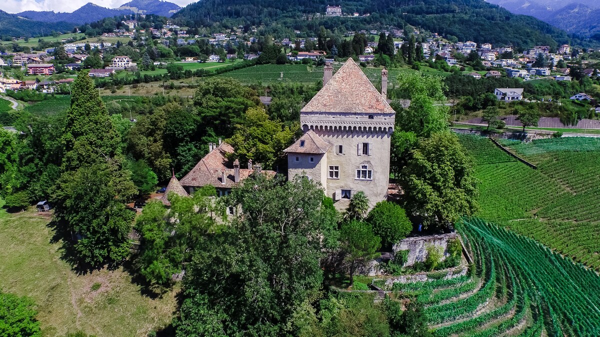 An aerial view of Château do Châtelard displays its impressive medieval architecture surrounded by lush greenery and vineyards. The castle is positioned against a backdrop of rolling hills, with the scenic landscape complementing its historic structure.