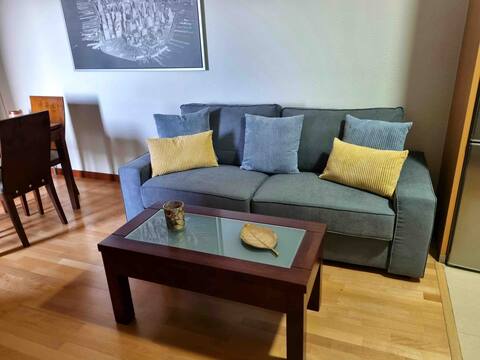Successful Airbnb property: Views of Aragón. in Vigo