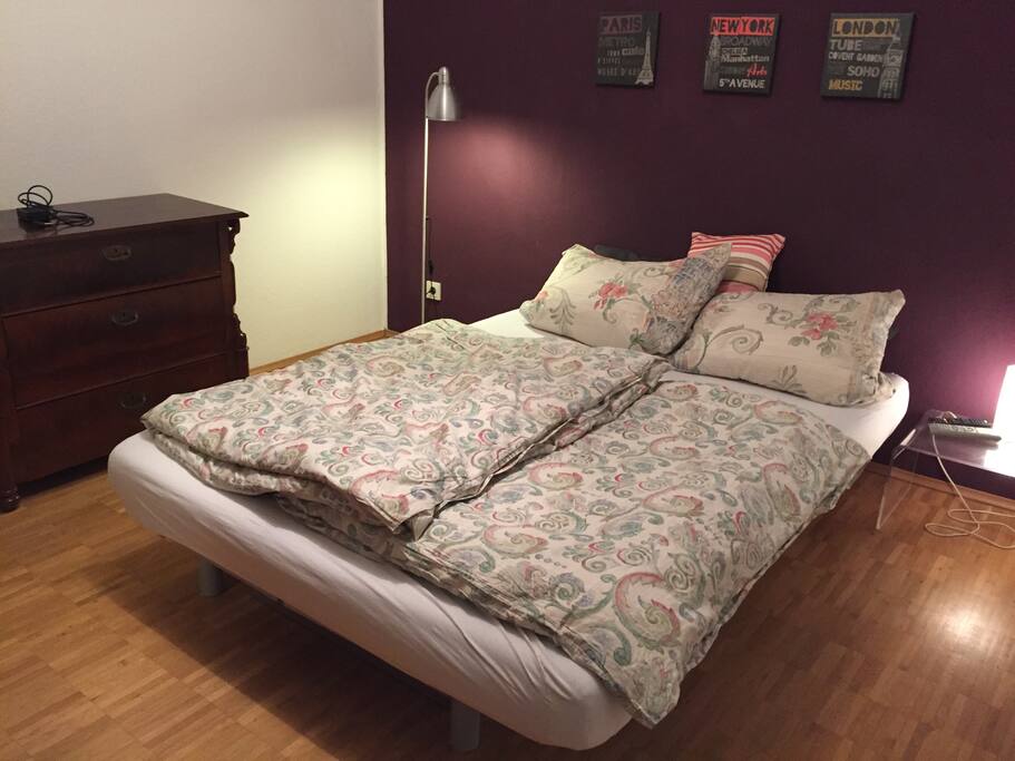 the comfortable sofa bed