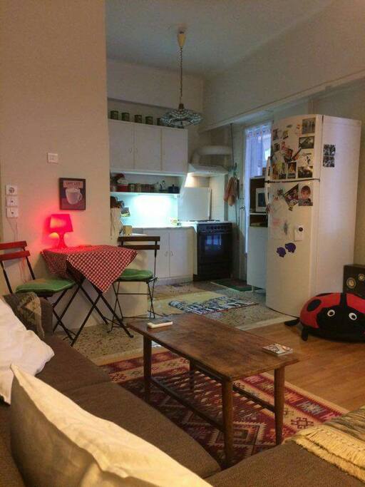 Living-room and fully equipped kichen in the same place.