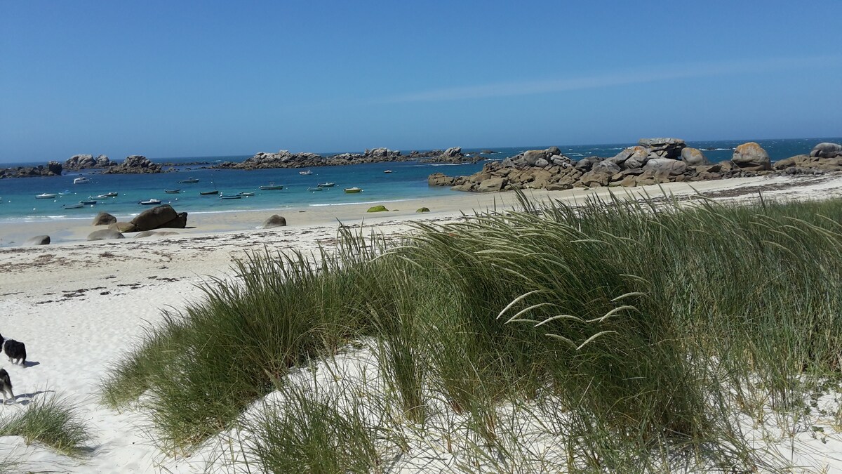 A sandy beach is depicted, with gentle dunes covered in tall grass leading to the calm turquoise waters. Rocky formations are visible in the distance, partially obscured by a clear blue sky. Small boats rest peacefully on the water's surface.