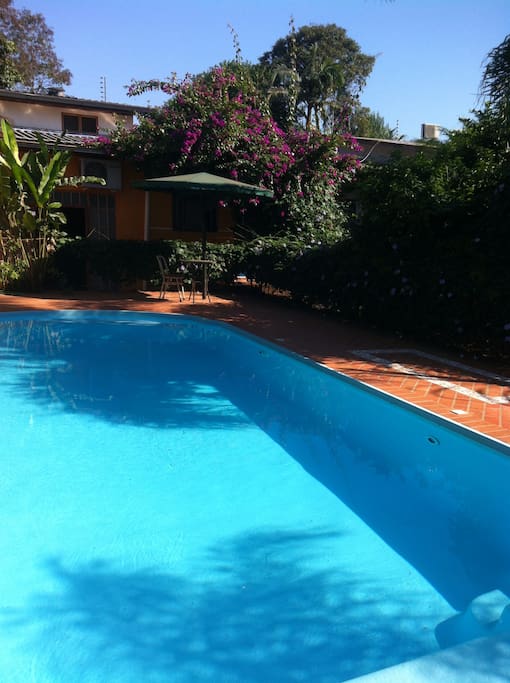 its hot in iguassu ! its cool at the pool !