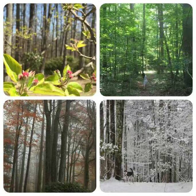 This is a sample of what our seasons look like
