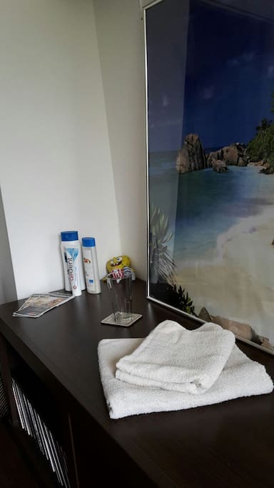 We provide towels, shower gel, shampoo and toothpaste.