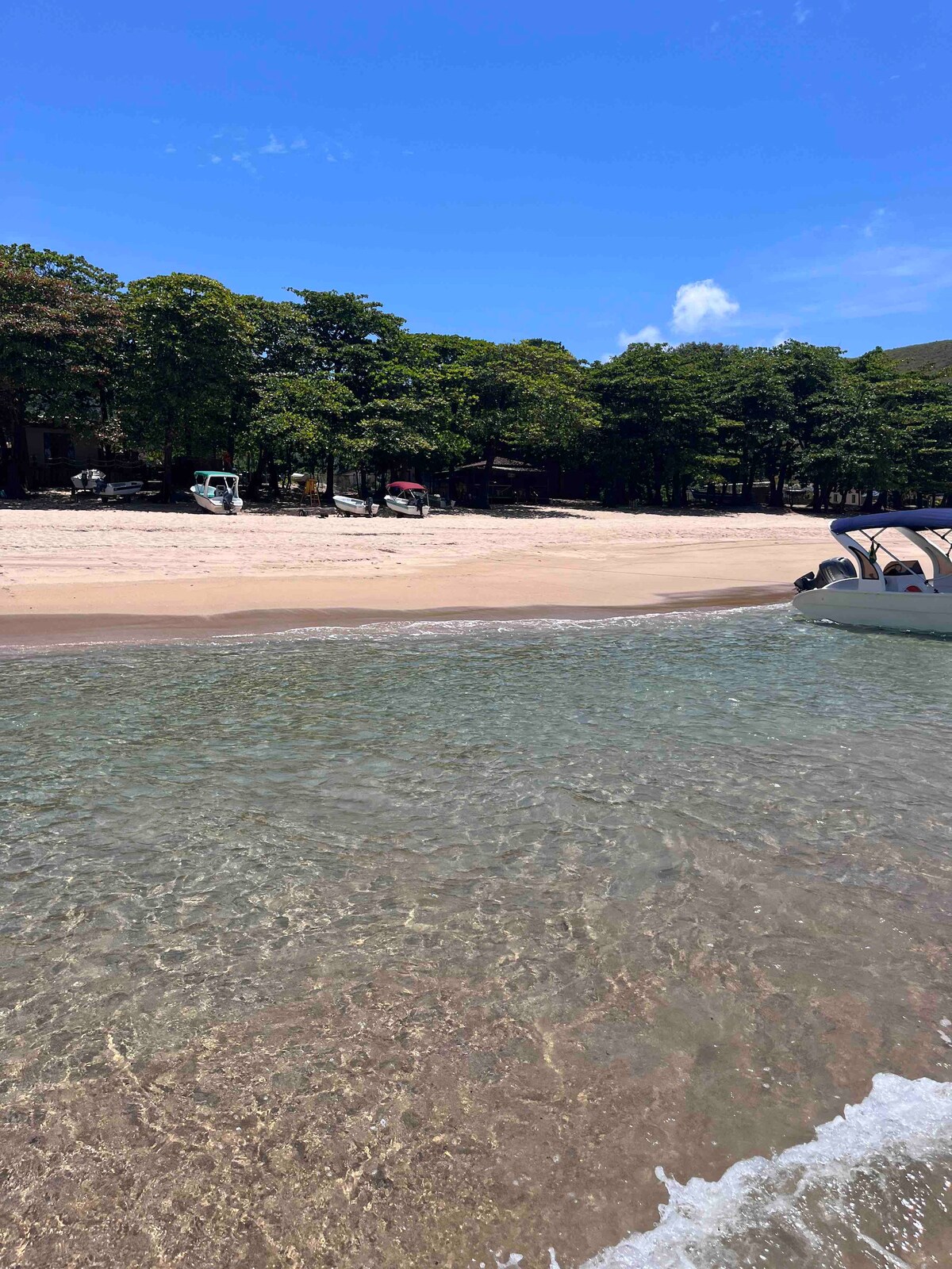 A calm beach scene is depicted, featuring soft sandy shores and clear turquoise waters. The shoreline is framed by lush green trees, providing a natural backdrop. A boat is anchored nearby, gently bobbing in the water, while a few beach umbrellas are visible under the trees.