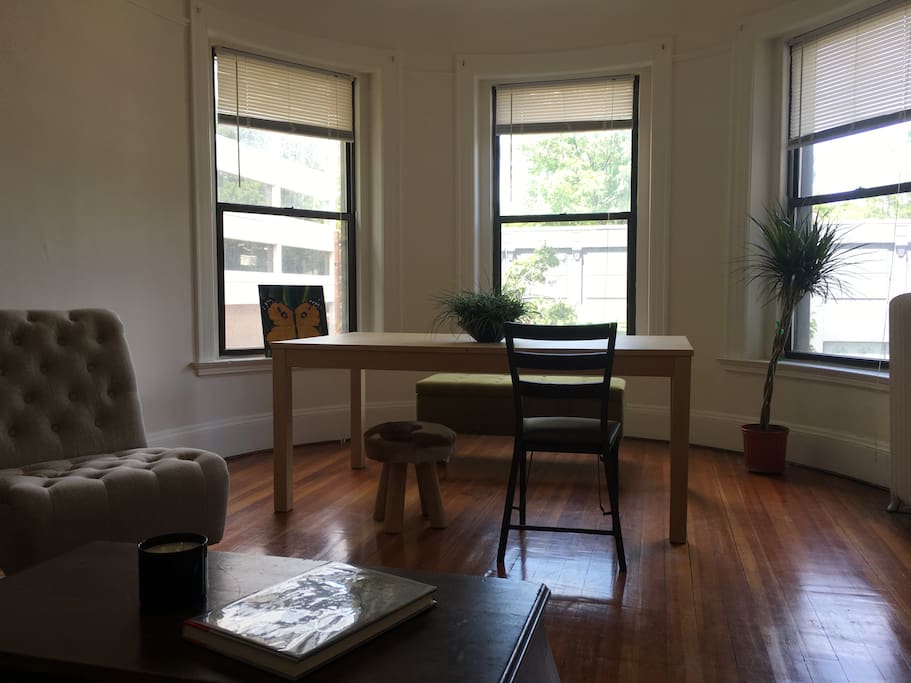 Plants and dining room table
