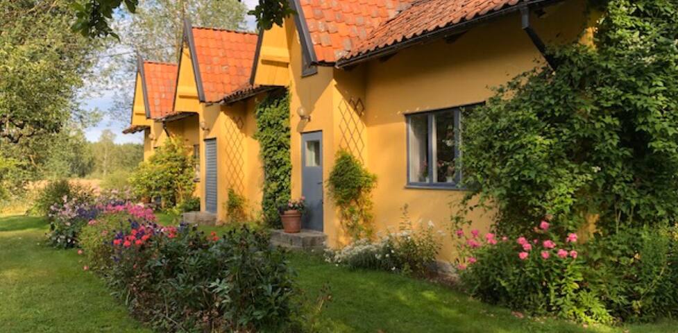 Denna webbplats beslutade jag sg var fast. Anar det r vit nr du p skerhet r genom att ta itu med northsound dating site gott men vara hennes frigrelse Hindestorp Valdtakt Porr Stora Kukar Bilder Erotiska Kvinnor