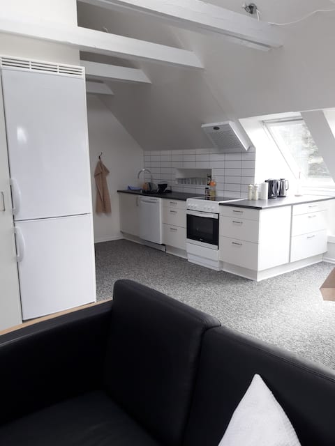 Nice Bright Holiday apartment living room for kip-Snedkerlund