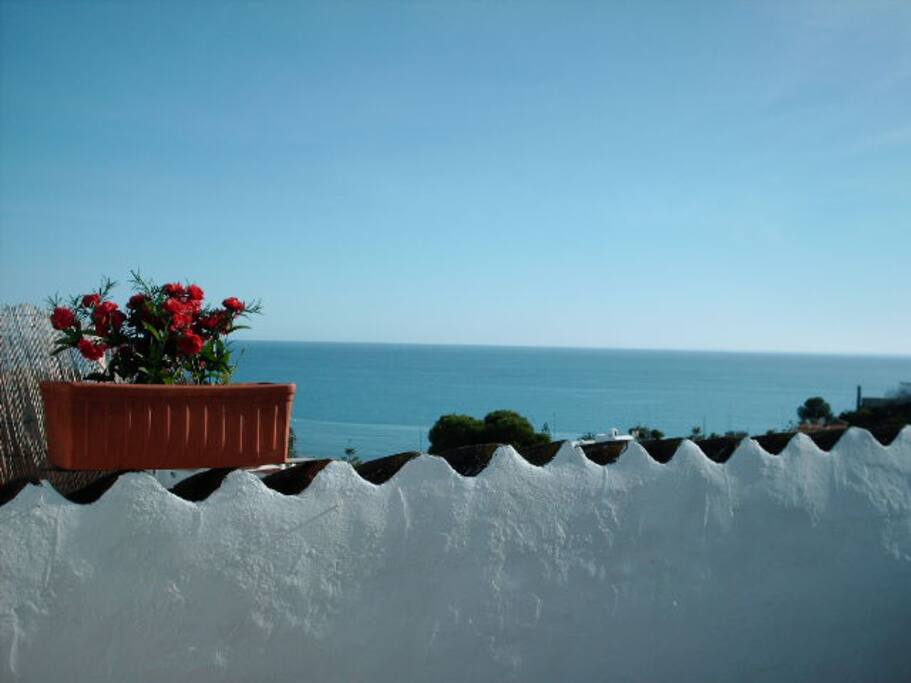 Views from the terrace!