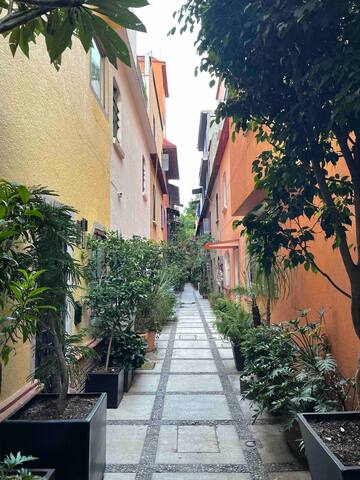 3 STORY TOWNHOUSE in the HEART of COYOACAN! gallery image 4