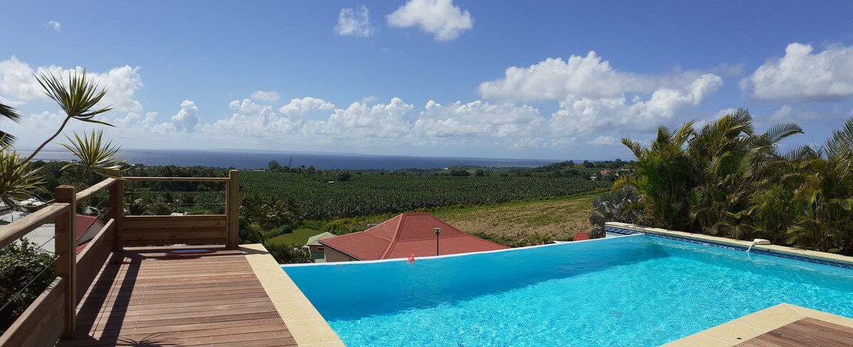 An expansive view showcases the shimmering infinity pool, overlooking rolling green fields and the coastline. Framed by palm trees, the outdoor deck provides a spacious area to relax and enjoy the scenic landscape under a clear blue sky.