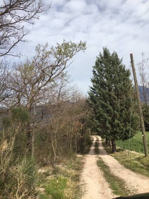 altro particolare della strada