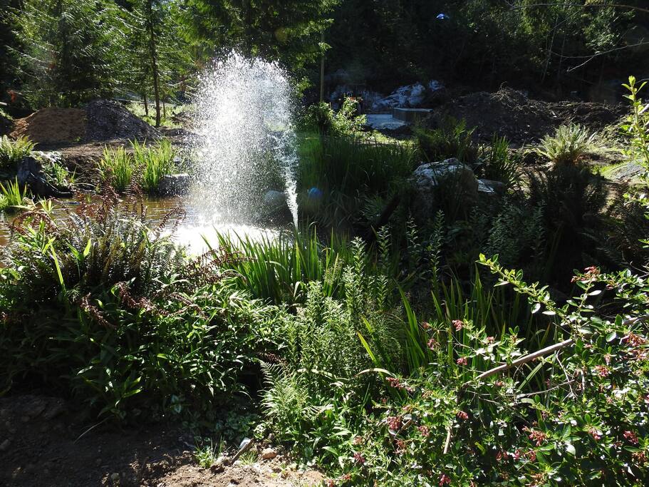 Gardens & Ponds
