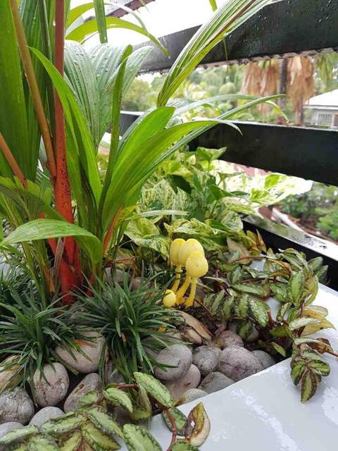PAMINTUAN HOUSE