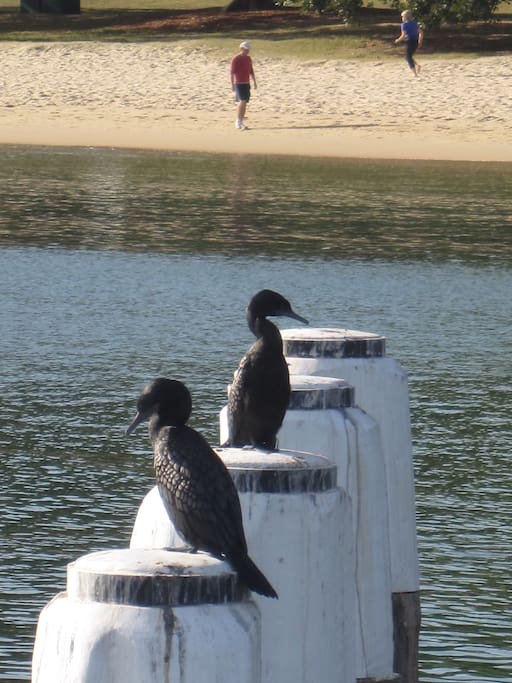 Some of the locals