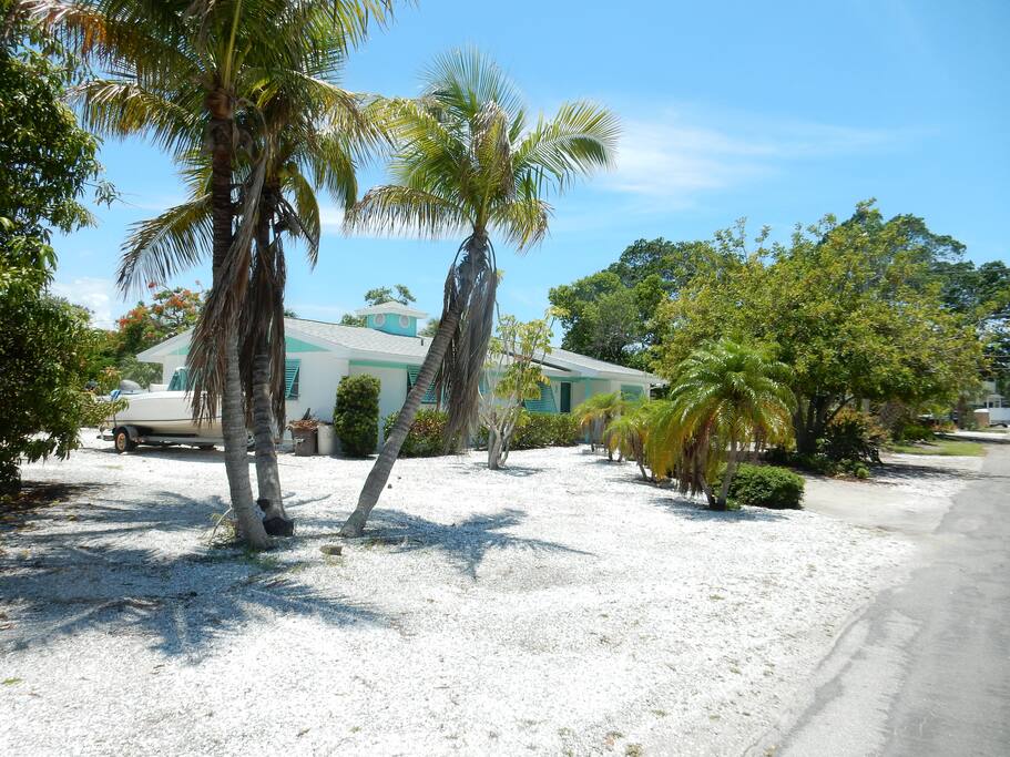 Front yard