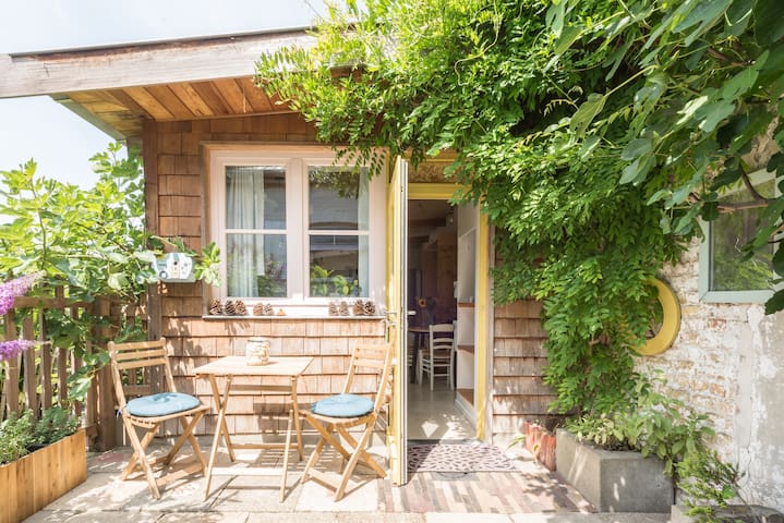 Canape Convertible Le Bon Coin Nord