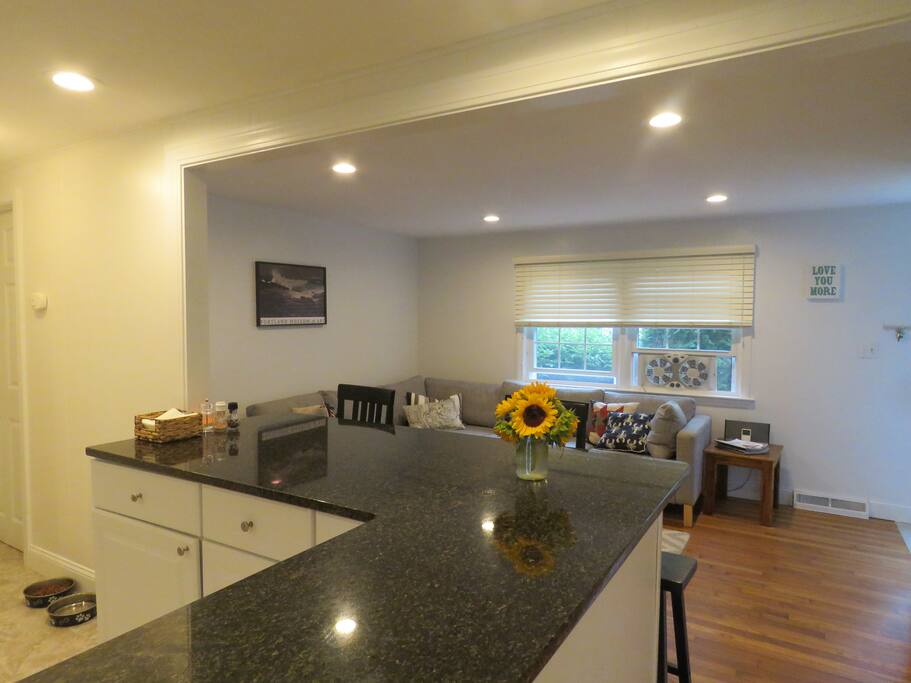 Open floor plan: kitchen/family room