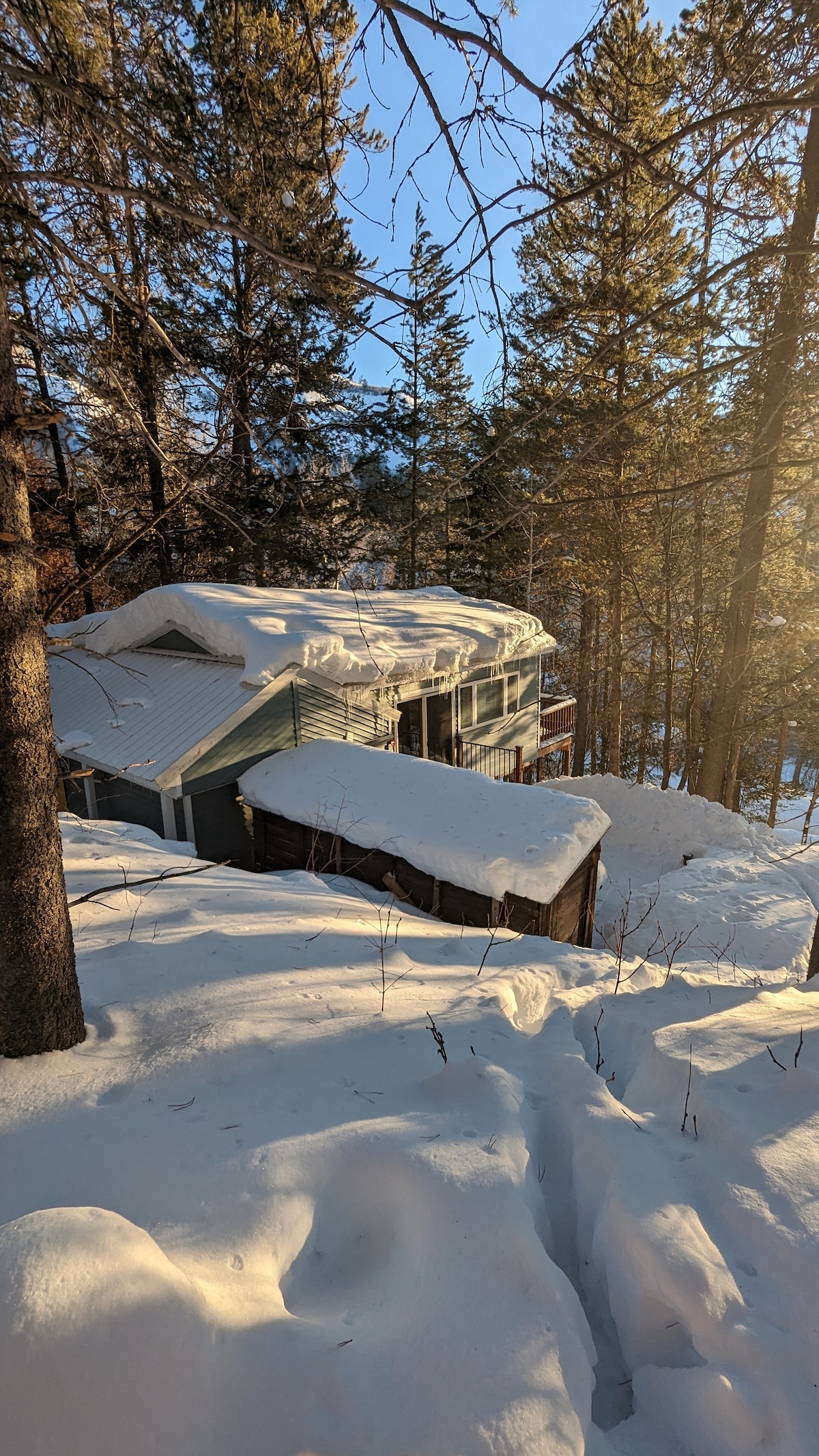 A serene winter landscape is depicted, featuring a cottage nestled among tall trees. Snow blankets the ground and roof, creating a tranquil scene. Sunlight filters through the branches, casting gentle shadows on the snow-covered surroundings.