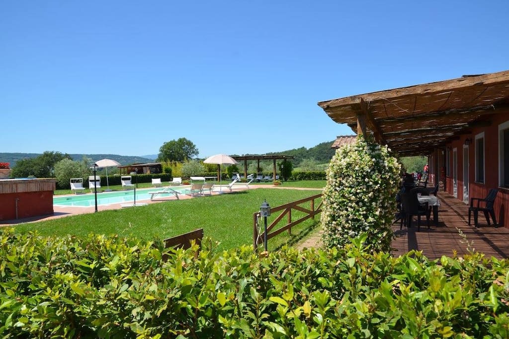 The garden with swimming pool