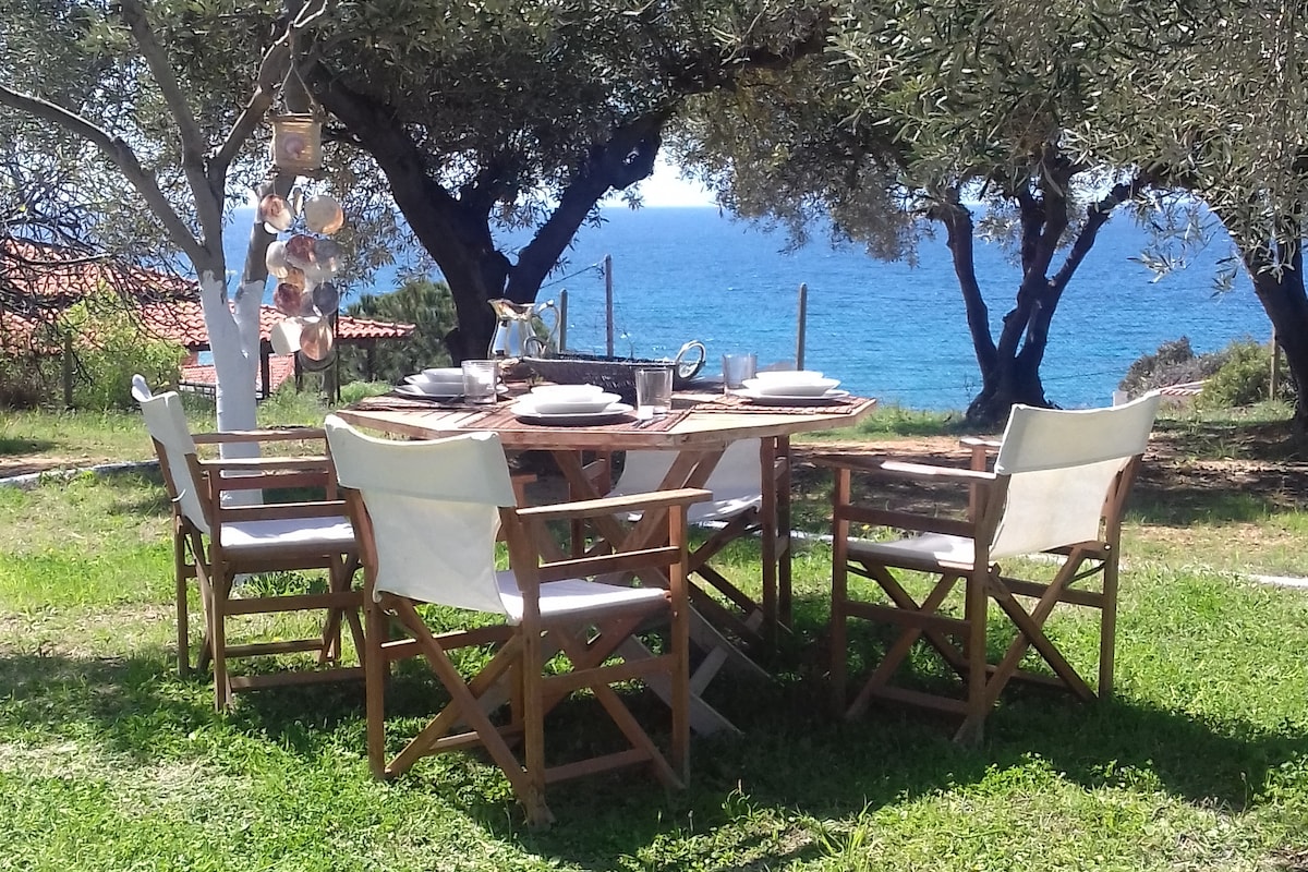 An outdoor dining area features a wooden table set for meals, surrounded by four folding chairs. Olive trees provide shade, and the sea is visible in the background, offering a serene setting for al fresco dining.