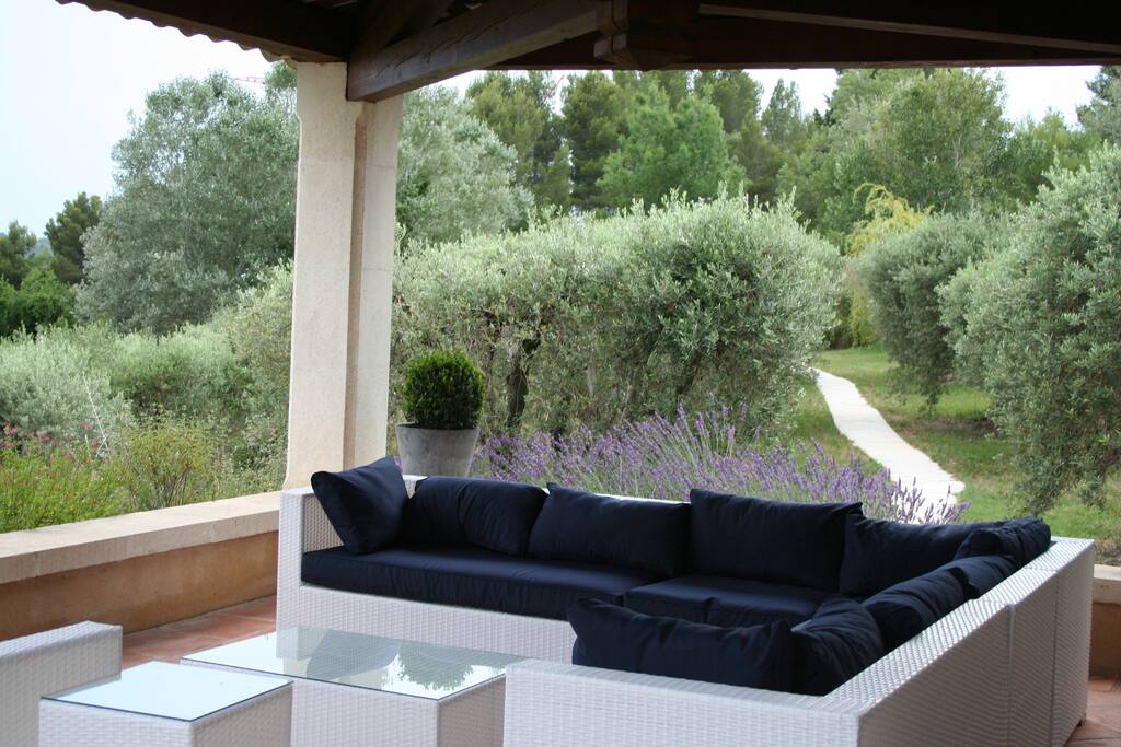 Salon d'été ouvert sur les oliviers et la vue